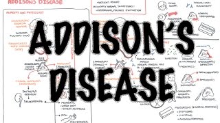 Addisons Disease  Overview clinical features pathophysiology investigations treatment [upl. by Woody]