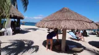 Chankanaab Beach Adventure Park Cozumel Mexico Carnival Breeze [upl. by Dix]