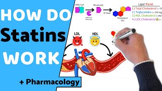 How do Statins Work  Pharmacology [upl. by Gibbs]