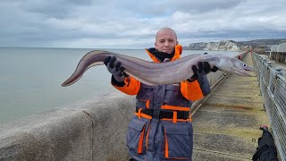 Admiralty Pier Dover Conger Fishing [upl. by Nicko]