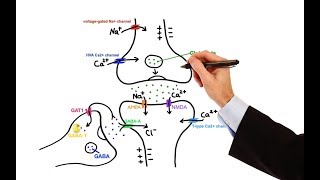 Pharmacology  ANTIEPILEPTIC DRUGS MADE EASY [upl. by Stephanie]