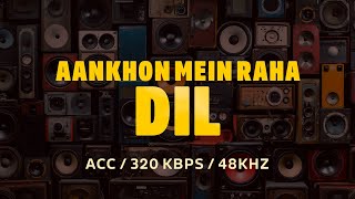 Desi Vibes Unlimited  Aankhon Mein Raha Dil Mein Utar Kar Nahi Dekha Official Audio [upl. by Hitt218]