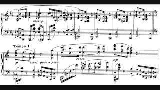 Alexander Scriabin  Fantasy in B minor Op 28 [upl. by Jaclin]