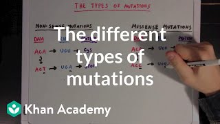 The different types of mutations  Biomolecules  MCAT  Khan Academy [upl. by Kenley]