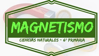 MAGNETISMO y ELECTROMAGNETISMO 🧲 Explicado para 6º Grado Primaria  Electricidad  Diferencia [upl. by Kavanagh874]