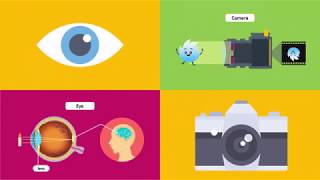 Compare the Working of a Human Eye with a Camera Lens  Knowledge Platform [upl. by Suicul]