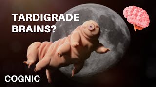 Do tardigrades have brains [upl. by Ibrad895]