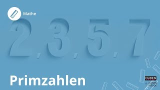 Was ist eine Primzahl – Mathe  Duden Learnattack [upl. by Calisa]