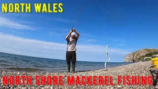 Mackerel Fishing at North Shore LLANDUDNO  North Wales  July 2021 [upl. by Zacherie362]