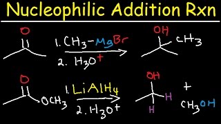 Nucleophilic Addition Reaction Mechanism Grignard Reagent NaBH4 LiAlH4 Imine Enamine Reduction [upl. by Kriste]