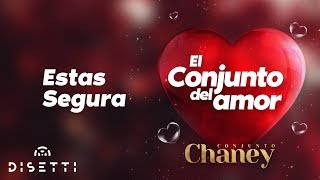 Conjunto Chaney  Estas Segura  Salsa Romantica con Letra [upl. by Solrac871]