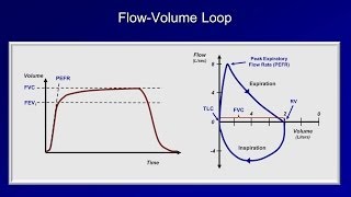 Pulmonary Function Tests PFT Lesson 2  Spirometry [upl. by Walke359]