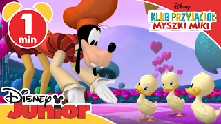 Klub przyjaciół Myszki Miki Grajek Tylko w Disney Junior [upl. by Vigen678]