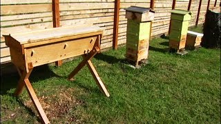 Beekeeping Basics  3 Types of Beehives  Mobile Minute [upl. by Ayiram796]