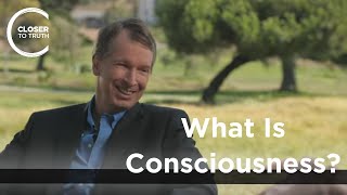 Donald Hoffman  What is Consciousness [upl. by Ldnek76]