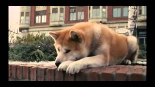 Hachi a dogs tale  the real story [upl. by Kabob505]