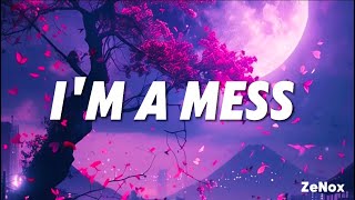 Im A Mess  Remake Lyrics [upl. by Nilkcaj]