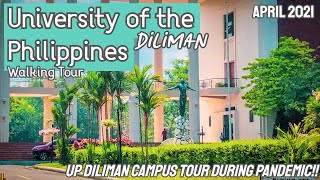 University of the Philippines Campus Virtual Tour UP Diliman Campus Tour [upl. by Sadler]