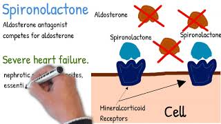 Spironolactone  Mechanism of action use and side effects simply explained [upl. by Haswell330]