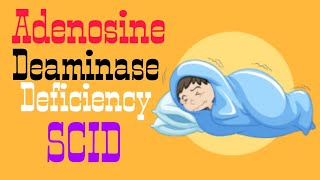 Adenosine Deaminase Deficiency  SCID  Lecture 8 [upl. by Mcintosh443]