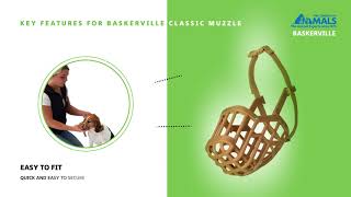 How to Fit The Baskerville Classic Muzzle [upl. by Finlay]