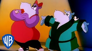 Animaniacs  The Hippo Opera  Classic Cartoon  WB Kids [upl. by Yllor]