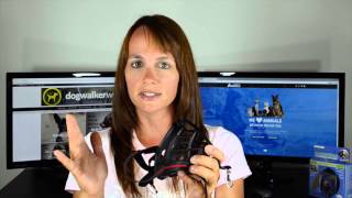 Baskerville Ultra Muzzle Review by Dogwalker World [upl. by Ellennoj]