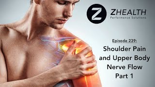 Shoulder Pain and Upper Body Nerve Flow Part 1 [upl. by Cyndia]